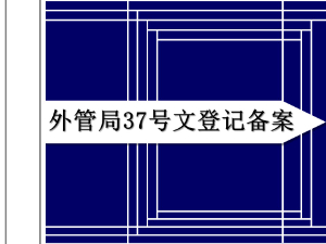 外管局37號(hào)文登記備案